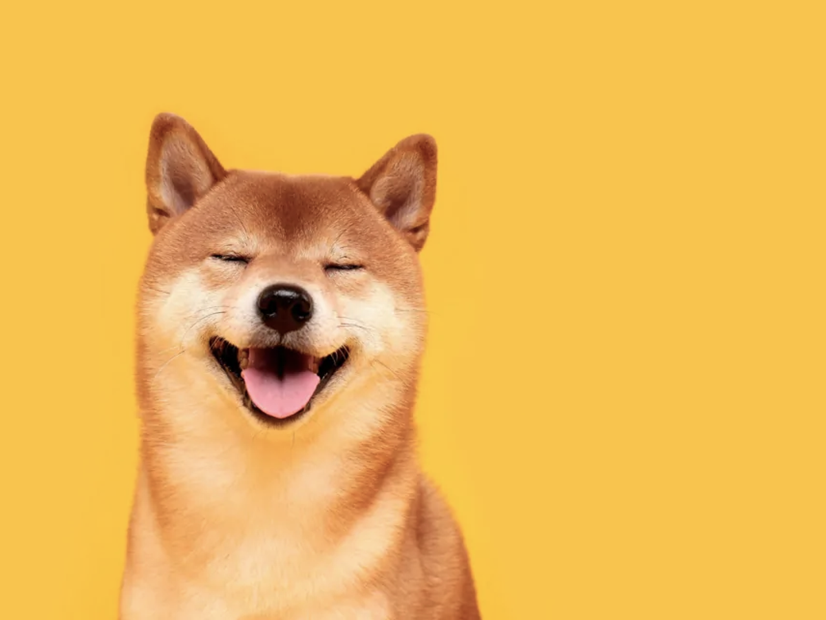 Newly-Minted Dogecoin Millionaire Wants Wealth for Future Family