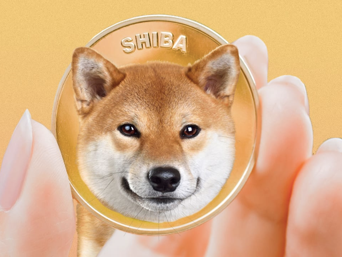 shiba inu on coin market cap