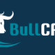 BullCFD Logo