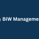 BIW Management Logo
